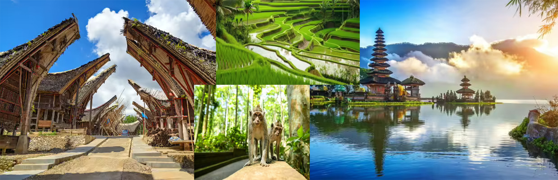 Circuit Bali Passion⭐⭐⭐⭐⭐