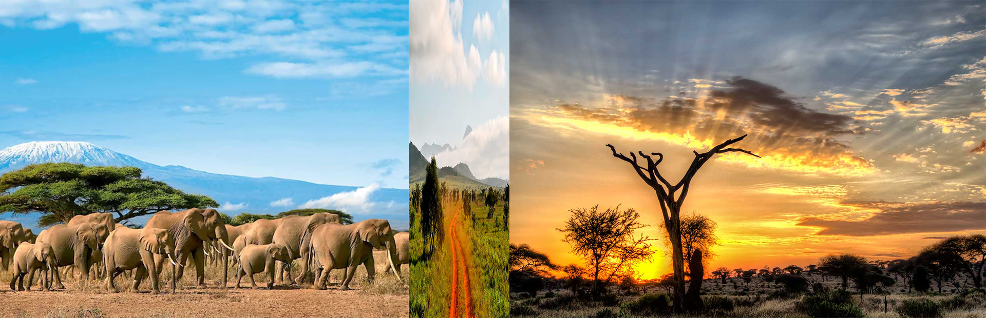 Circuit Safari Kilimandjaro + Extension balnéaire à Mombasa⭐⭐⭐⭐⭐